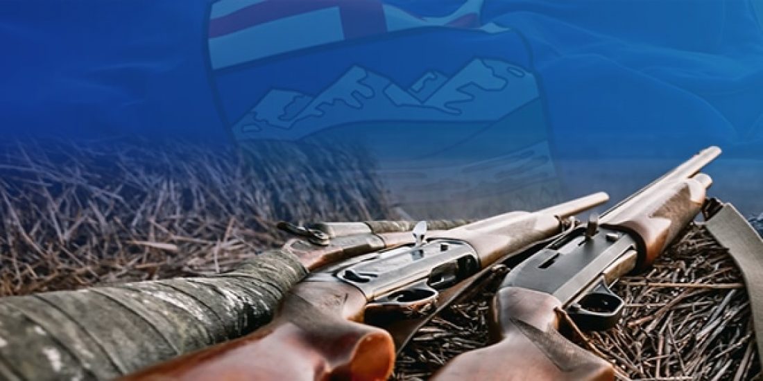 Gun-Grab-600x300